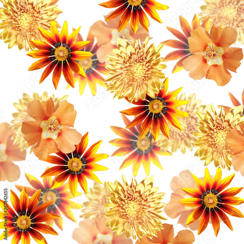 Beautiful floral background of orange flowers. Isolated