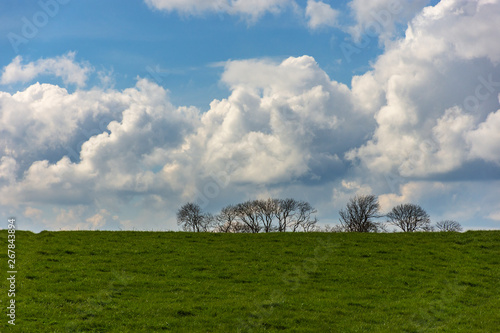 Photos Landscape with tree silhouettes on the background and a field on the foreground