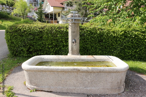 Historischer Brunnen im Zentrum von Schönau im Schwarzwald photo