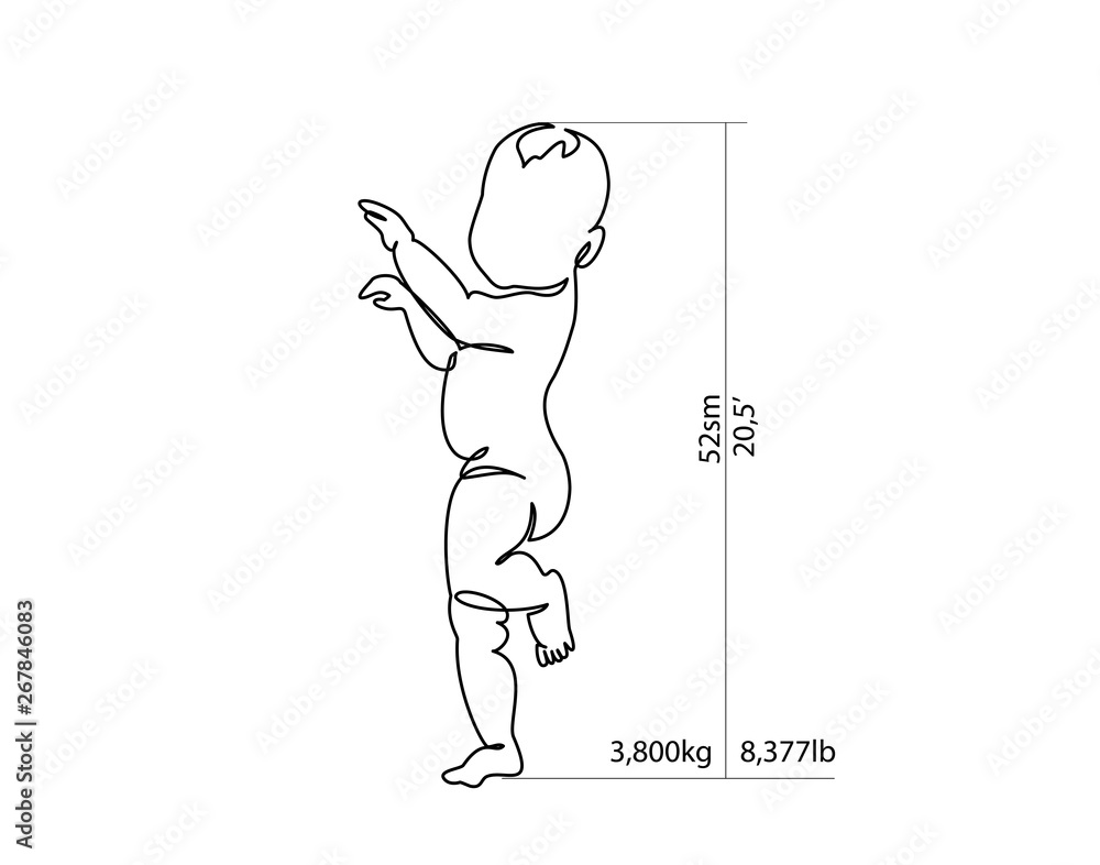 Full-growth baby for height and weight measurement