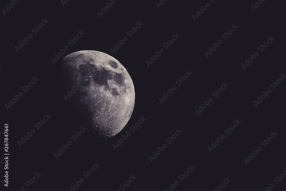 Moon Moon
