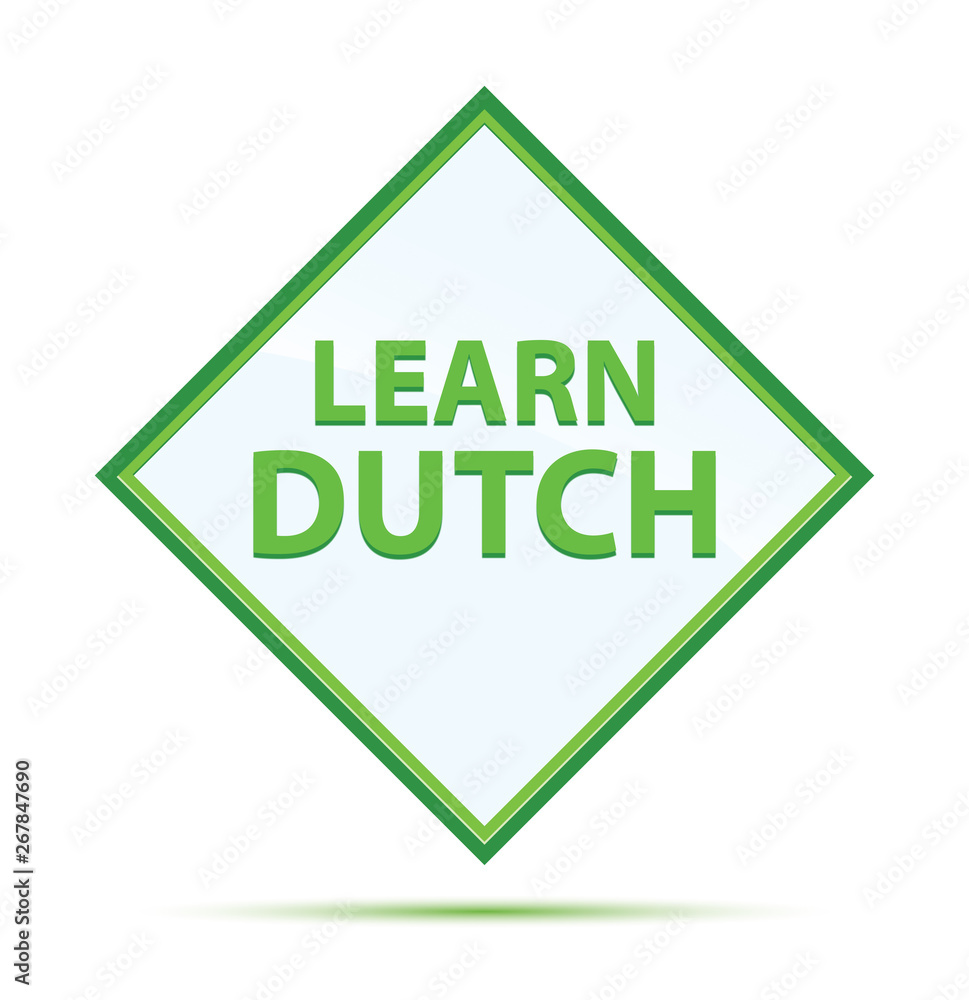 Learn Dutch modern abstract green diamond button
