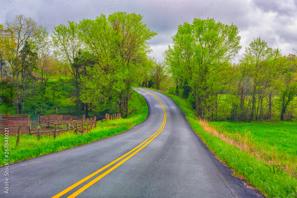 road in the forest