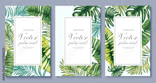Palms. Vector card. Template. Thank you. Blank wedding invitation, greeting card, banner.  Decorative frame. Set.