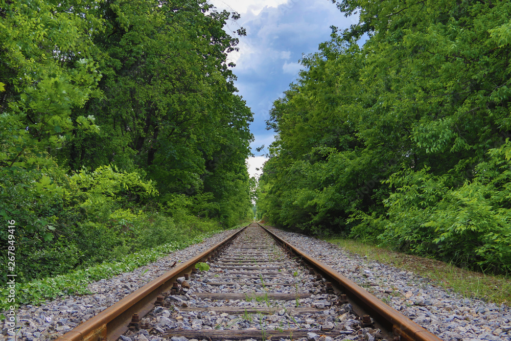 Railway going through the beautiful green forest Railway going through the beautiful green forest