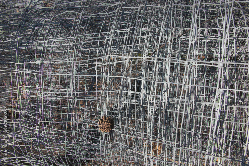 wire mesh used for fences of forest crops against animals