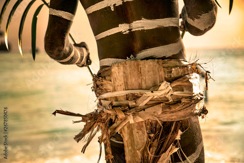 Tableau sur toile Traditional snake dancing Rah Island, Vanuatu