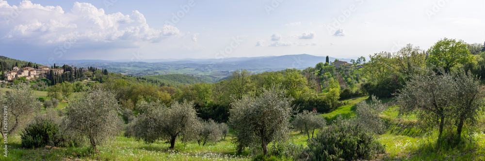 Fototapeta premium Chianti