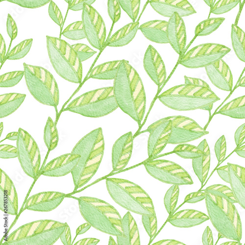 Green branch with leaves, hand drawn plant - seamless pattern on white background