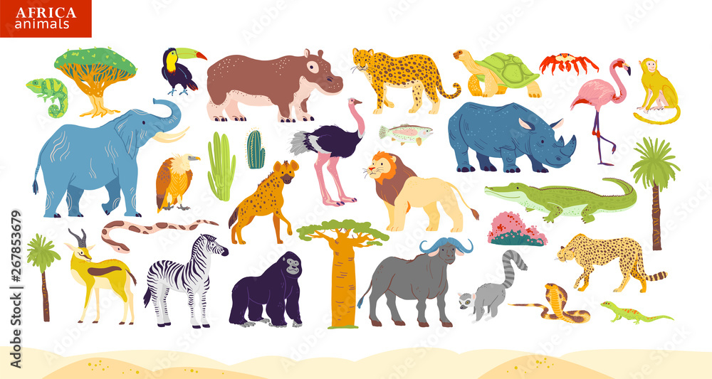 desert plants and animals clipart