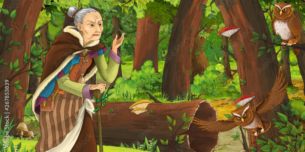 cartoon scene with happy old woman witch sorceress in the forest encountering pair of owls flying - illustration for children