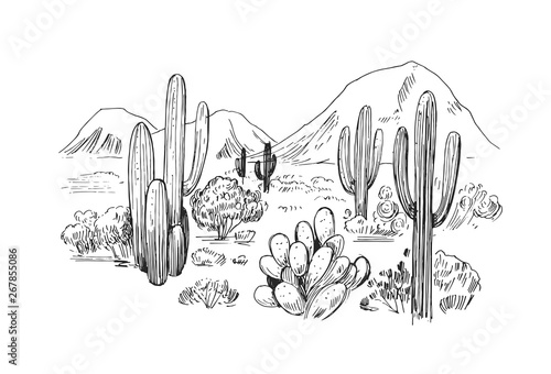 Sketch of the desert of America with cacti. Prairie landscape. Hand drawn vector illustration