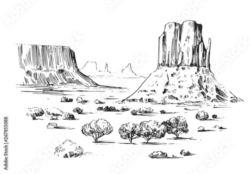 Sketch of the desert of America with cacti. Prairie landscape. Hand drawn vector illustration