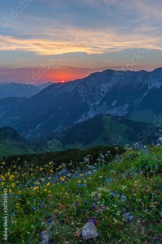 rote sonne beim sonnenuntergang mit bergbluemen im Vordergrund