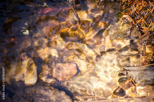 Water texture Background water in the creek. Waves of water. Stream in the forest. Freshness and ease of pure fresh water. Beautiful natural background for a holiday.