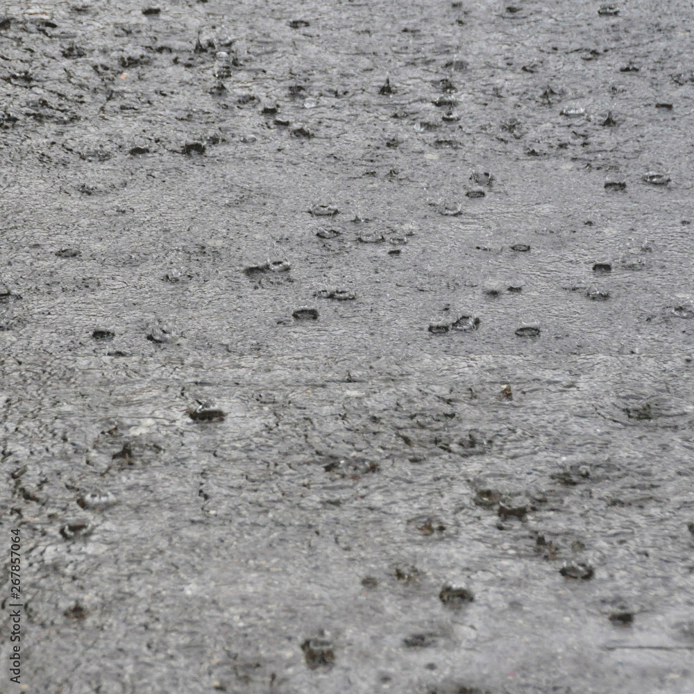 raindrops on asphalt road during heavy rain. rain drops background raindrops on asphalt road during heavy rain. rain drops background