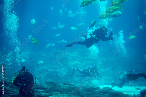 Group of divers in aquarium tank