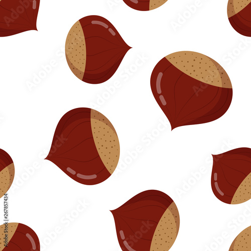 Chestnut seamless pattern on white background photo
