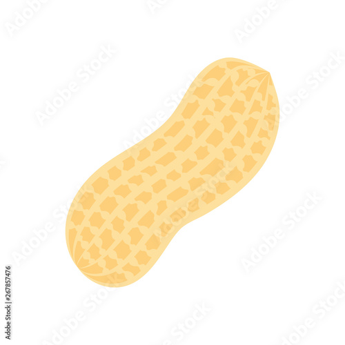 Peanut icon. isolated on white background