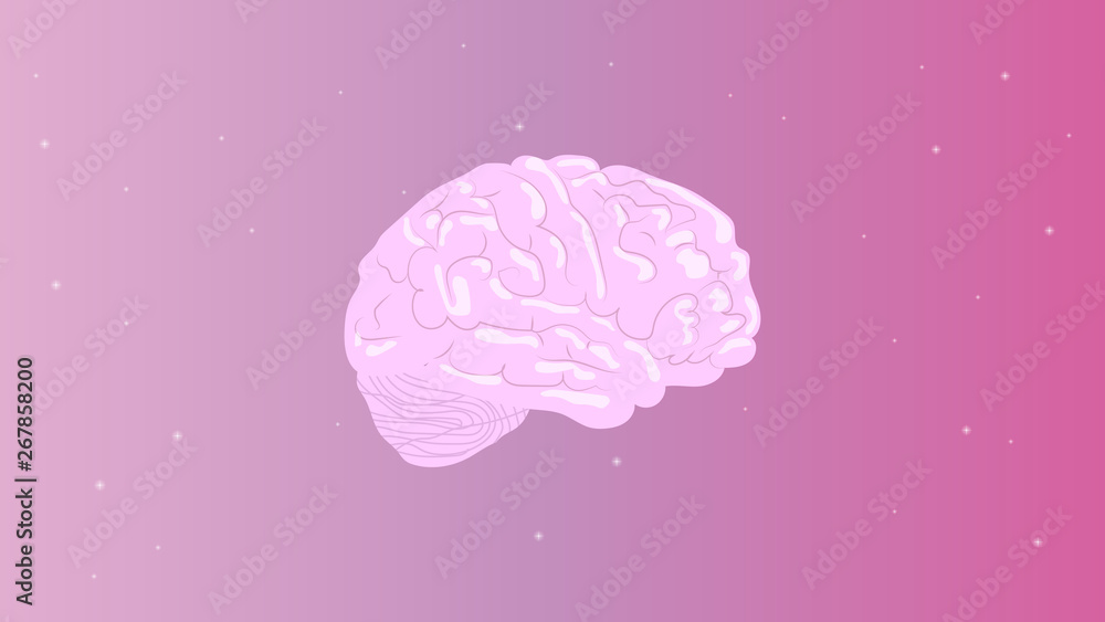 Human brain on the pink starry sky background vector design Human brain on the pink starry sky background vector design