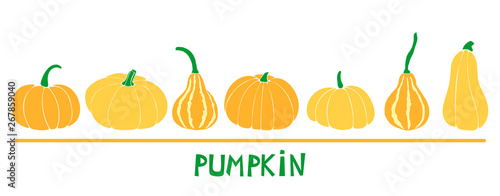 Set with six pumpkins: bottle gourd; cinderella variety; butternut. Orange autumn vegetables.