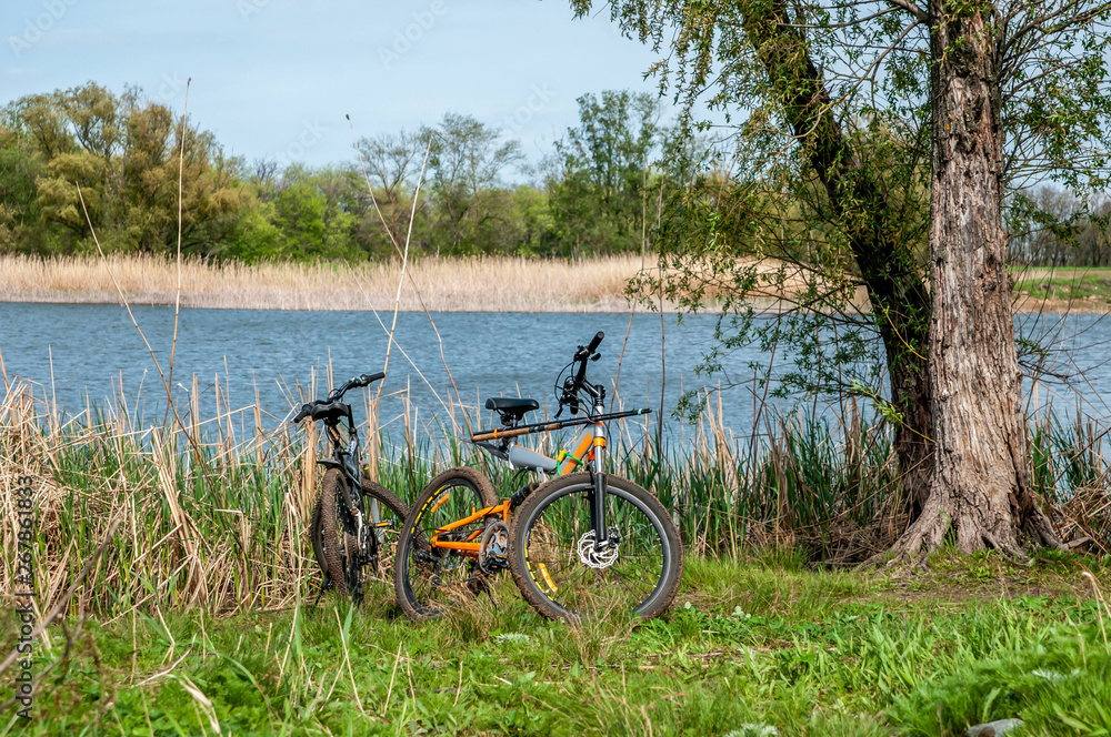 two bicycles of fishermen on a small river two bicycles of fishermen on a small river