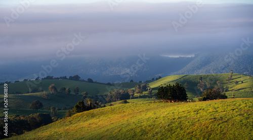 landscape in the mountains, atherton tablelands
