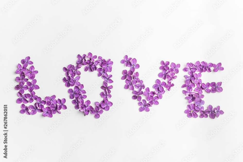 Spring flowers. Purple lilac flowers background Spring flowers. Purple lilac flowers background