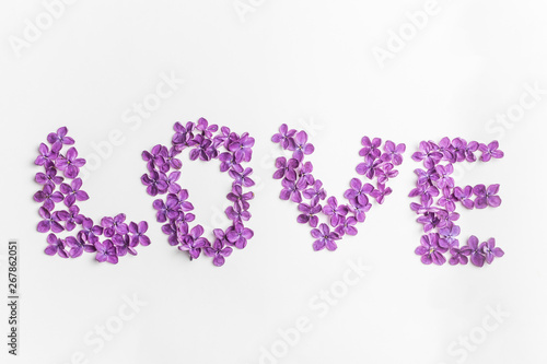 Spring flowers. Purple lilac flowers background