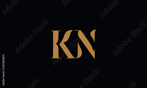 KN logo design template vector illustration minimal design