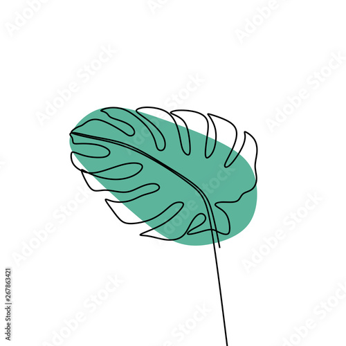 continuous exotic plant of monstera one line drawing minimalist design