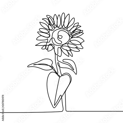 Sun flower one line drawing...
