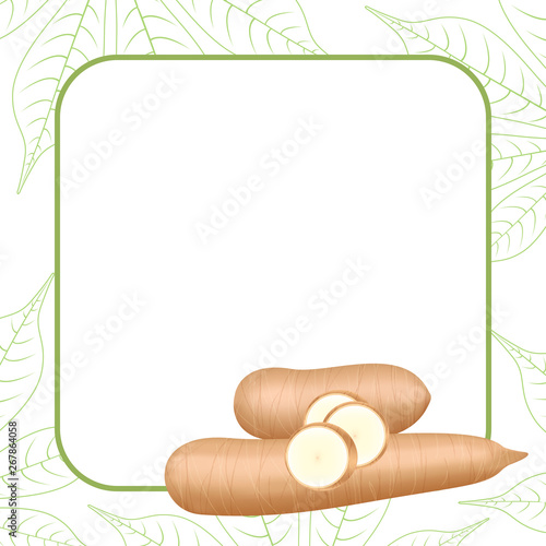 banner frame of cassava fresh for copy space, cassava cut slice for tapioca flour industry or ethanol, pile yucca cassava tuber on frame, raw manioc cassava on template banner green background empty