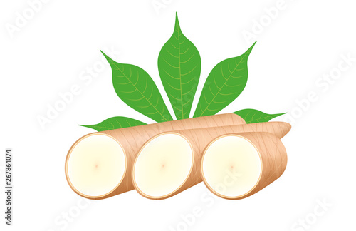 cassava fresh and leaf isolated on white background, raw cassava cut slice for tapioca flour industry or ethanol industry, pile yucca cassava tuber, raw manioc cassava in top view