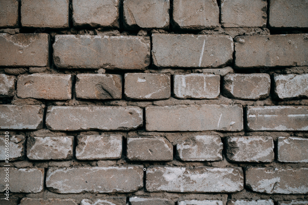 Obraz premium Brick wall in daylight, texture, background