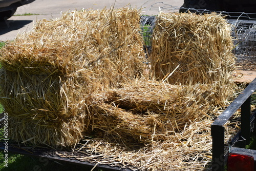 Sauare Bale of Hay photo