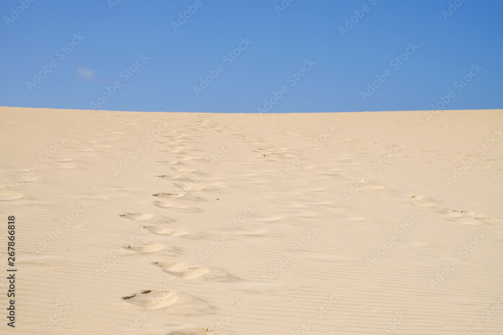 Sand Dunes in National Park Corralejo, Fuerteventura. Sand Dunes in National Park Corralejo, Fuerteventura.
