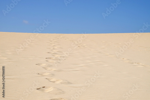 Sand Dunes in National Park Corralejo  Fuerteventura.