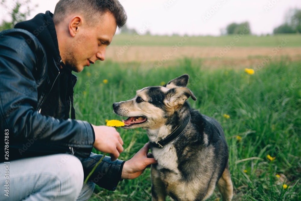 young man walking with a cute dog in the summer in the park in flowers young man walking with a cute dog in the summer in the park in flowers