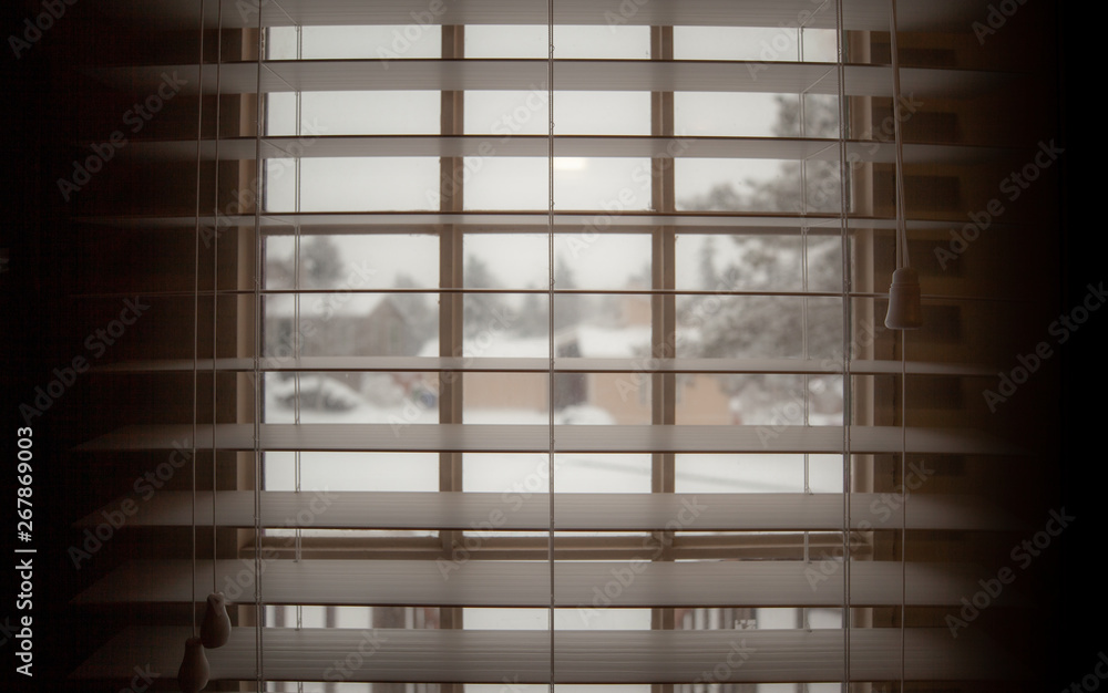 Snowy Day Snowy Day