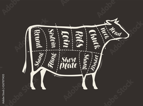 Cut of beef meat drawn on the blackboard. Menu for restaurant or butcher shop. Vector