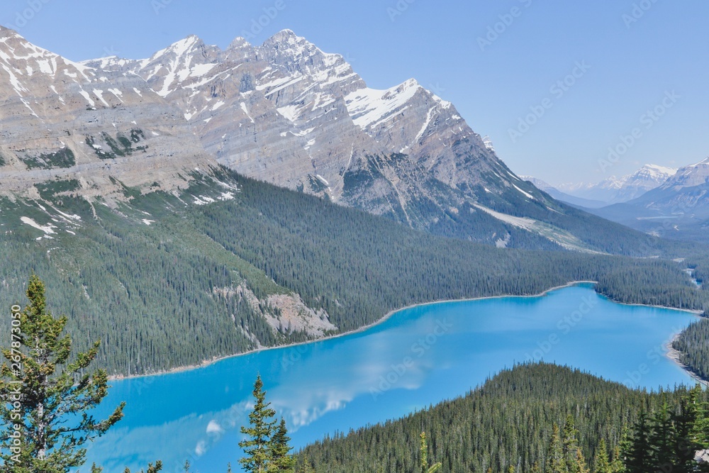 Peyto Lake Banff / Siffleur Canada very blue mountain alps lake with hills and forrest