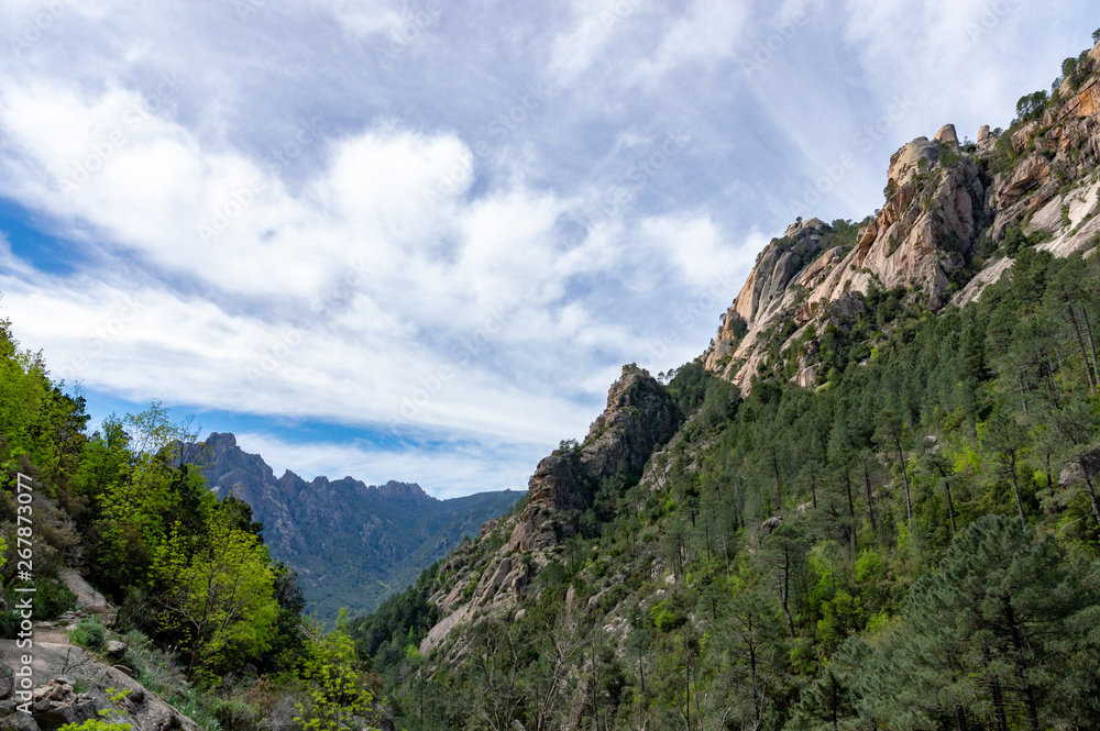 Bavella Needles, typical mountain landscape of Corsica, France.