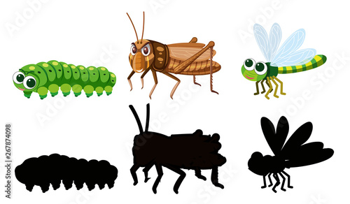 Set of insect character