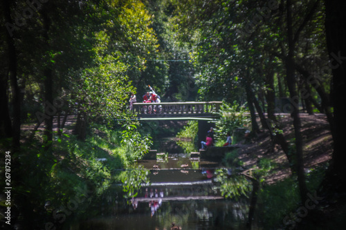 El puente