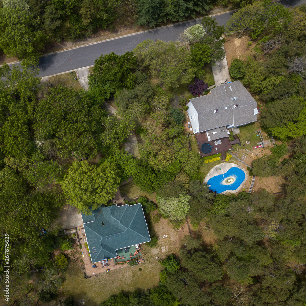 Naklejka premium Aerial photo of the houses in the forest.