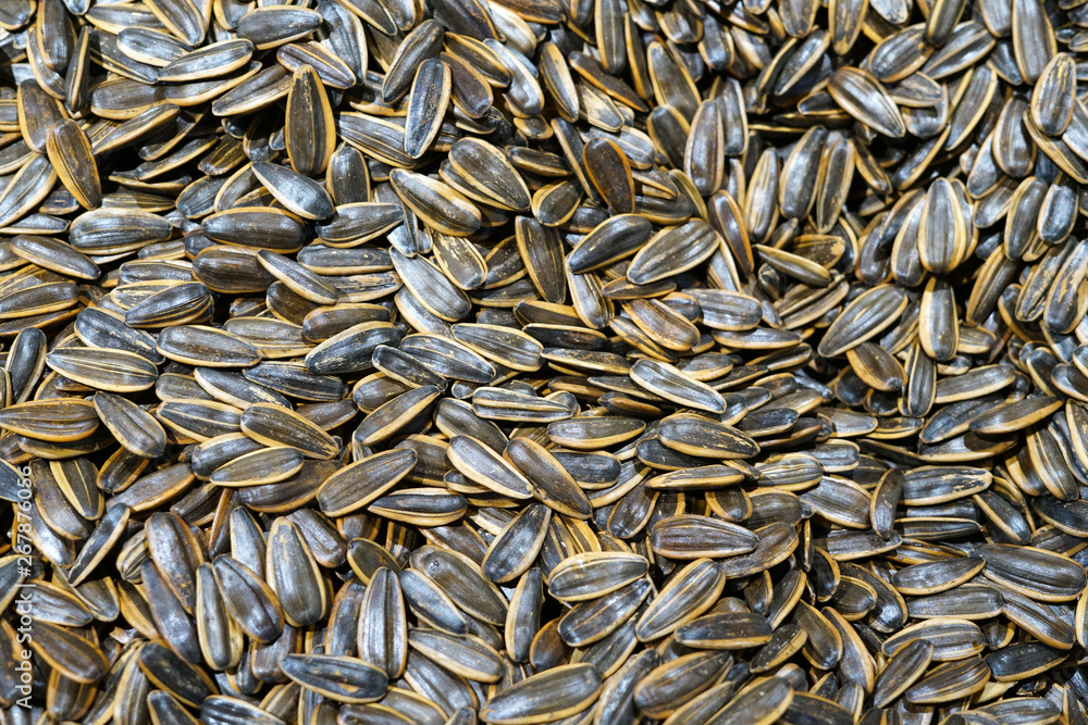 close up on white sunflower seeds as food background close up on white sunflower seeds as food background