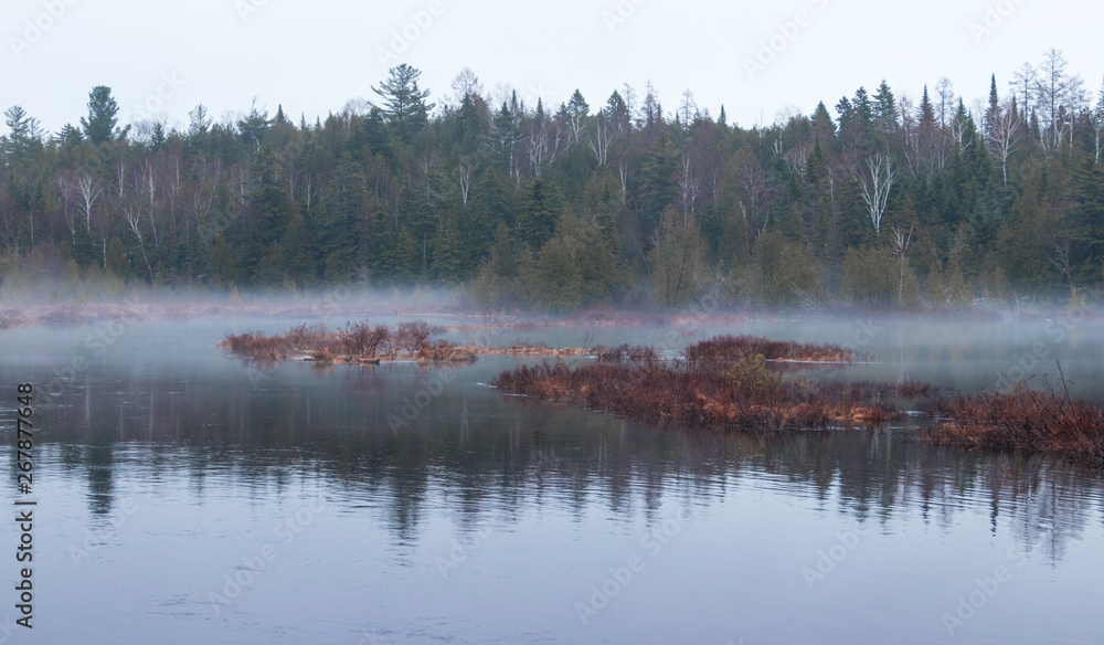 Fototapeta premium Mist by the lake
