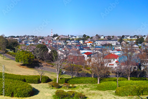 春の桜咲く、横浜市山手の閑静な住宅街