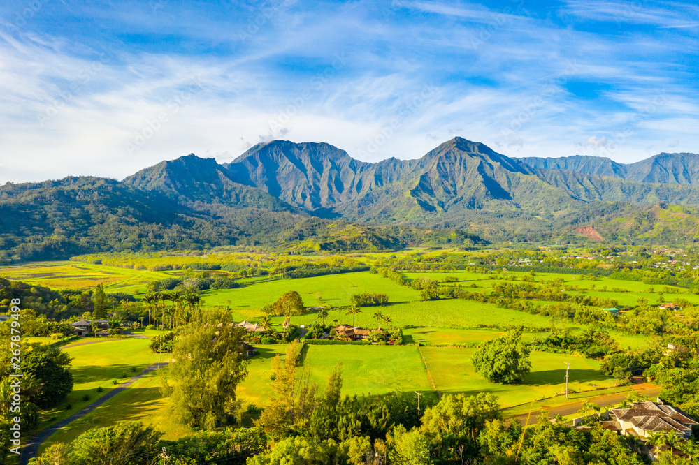 Hanalei Aerial Hanalei Aerial